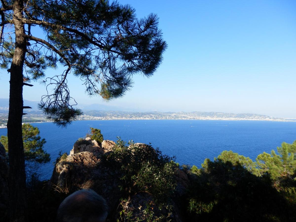 Esterel Terrasses, Roof Top, Plage, Parking Payant カンヌ エクステリア 写真