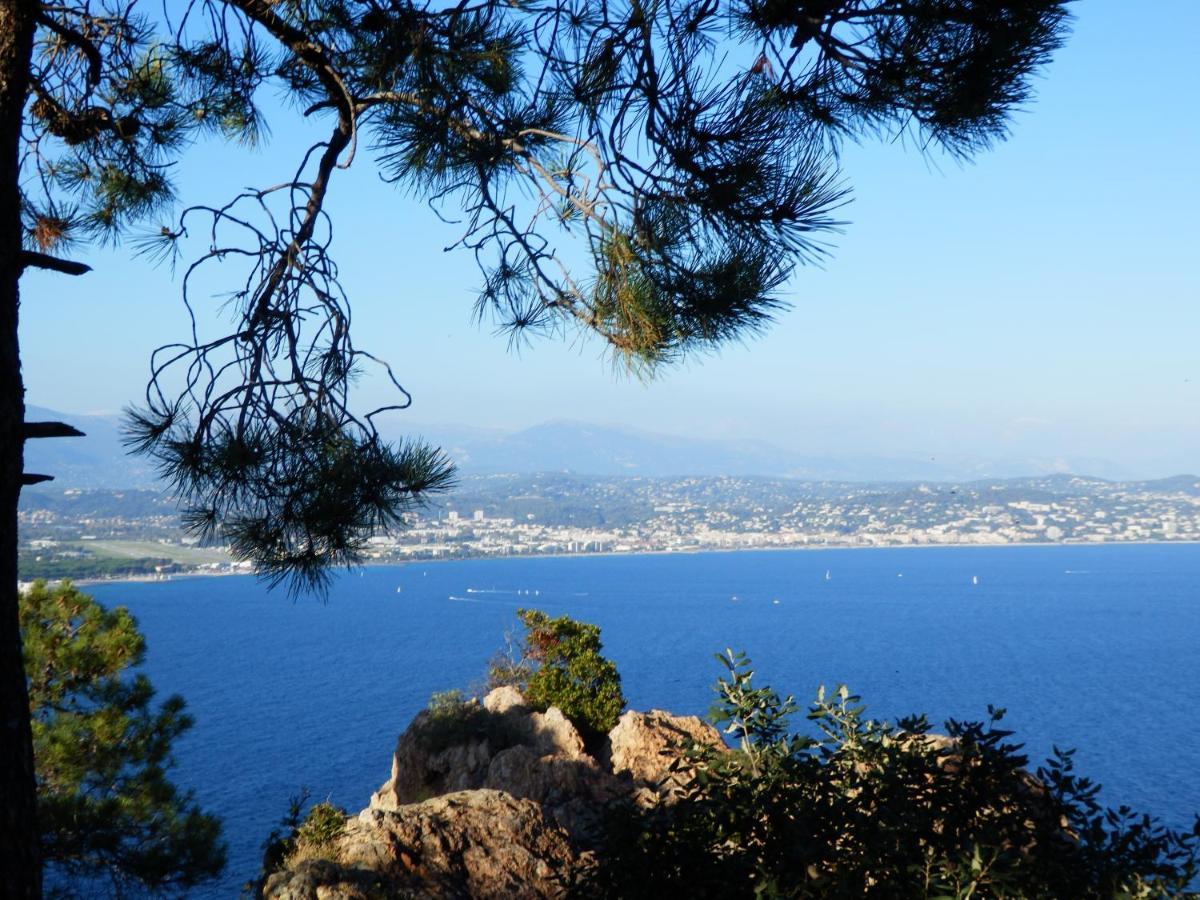 Esterel Terrasses, Roof Top, Plage, Parking Payant カンヌ エクステリア 写真