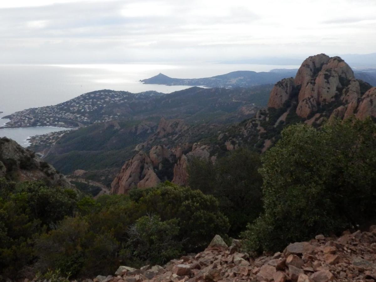 Esterel Terrasses, Roof Top, Plage, Parking Payant カンヌ エクステリア 写真
